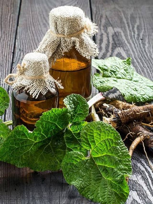 7 Simple Ayurvedic Remedies Jo Hair Fall Ko Root Se Rokenge