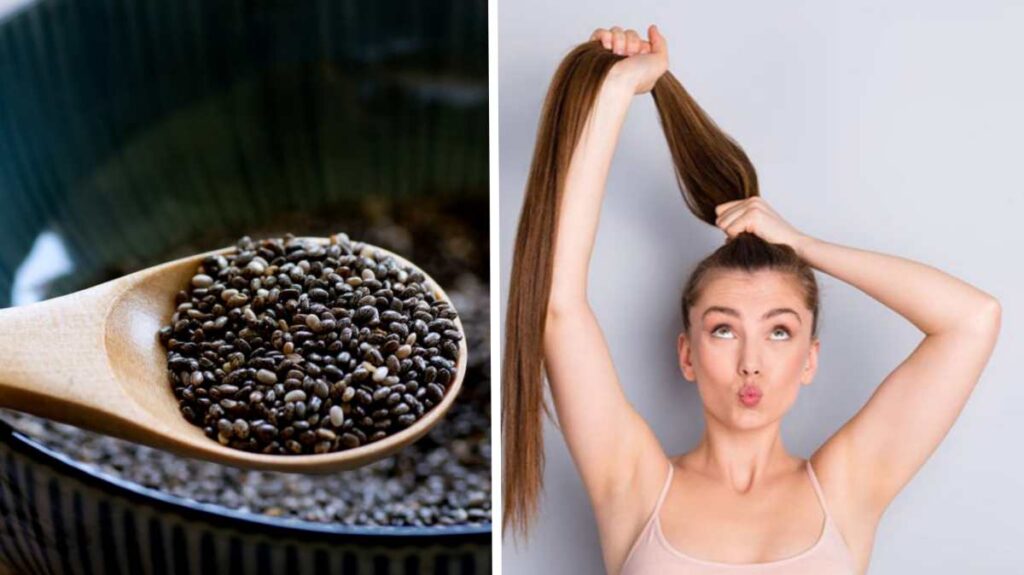 Chia Seeds for Hair Growth – Morning Ya Night, Kon sa time hai best?